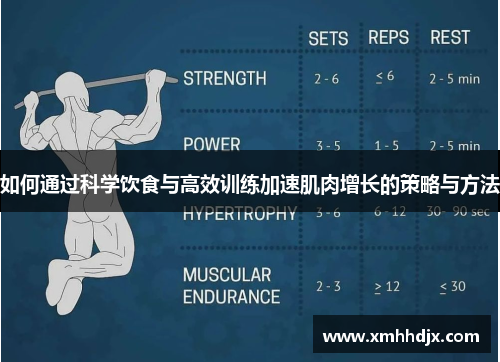 如何通过科学饮食与高效训练加速肌肉增长的策略与方法