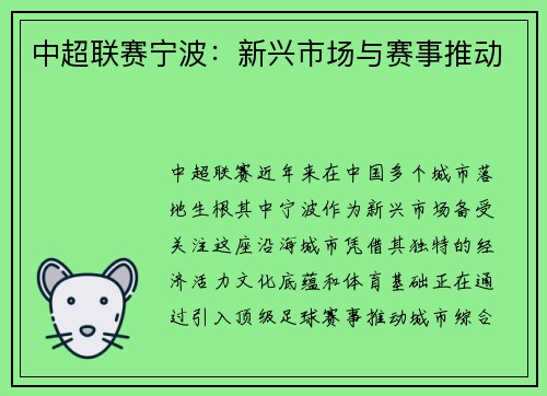 中超联赛宁波：新兴市场与赛事推动