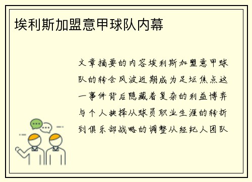 埃利斯加盟意甲球队内幕