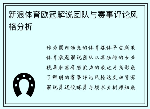 新浪体育欧冠解说团队与赛事评论风格分析
