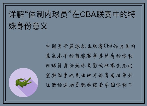 详解“体制内球员”在CBA联赛中的特殊身份意义